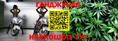 тгк Новозыбков