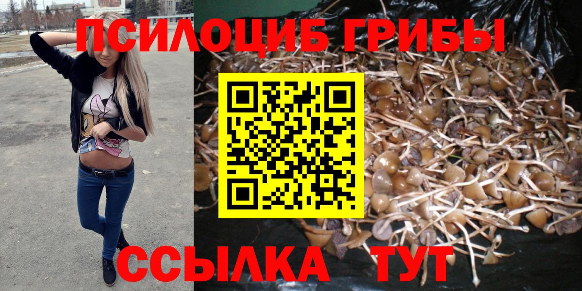 Галлюциногенные грибы Magic Shrooms  Псилоцибиновые грибы мицелий  Вход с VPN  Волхов 
